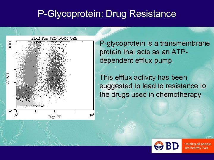 P-Glycoprotein: Drug Resistance P-glycoprotein is a transmembrane protein that acts as an ATPdependent efflux