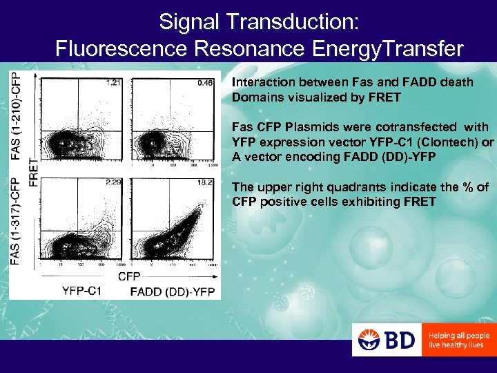 Signal Transduction: Fluorescence Resonance Energy. Transfer Interaction between Fas and FADD death Domains visualized