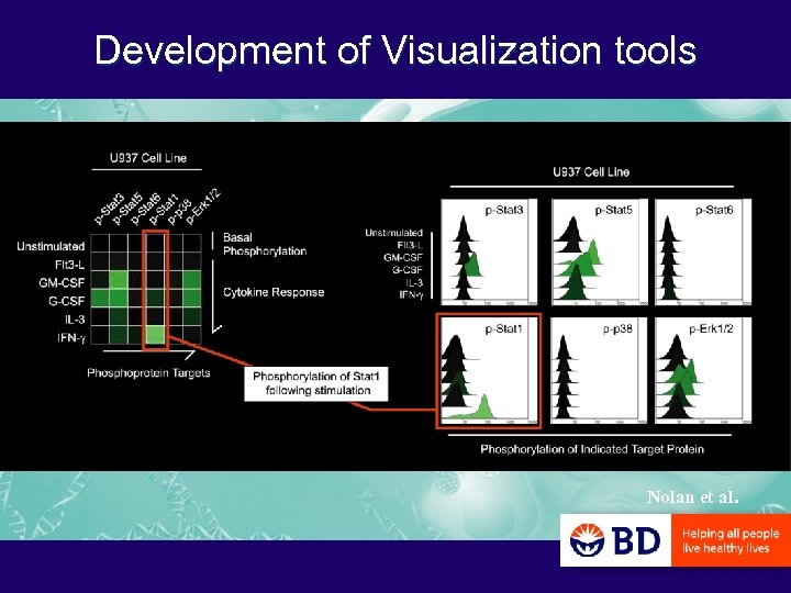 Development of Visualization tools Nolan et al. 