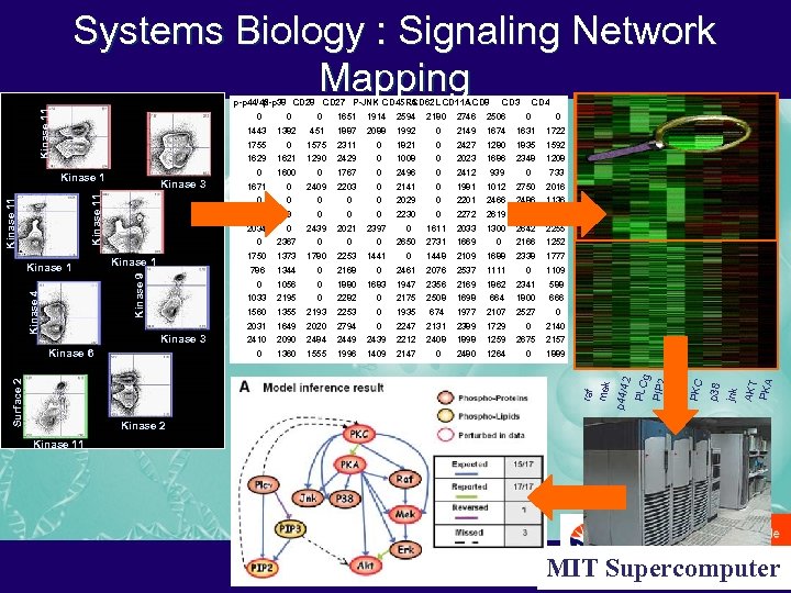 Systems Biology : Signaling Network Mapping 0 1443 1755 1629 1600 2594 451 1887