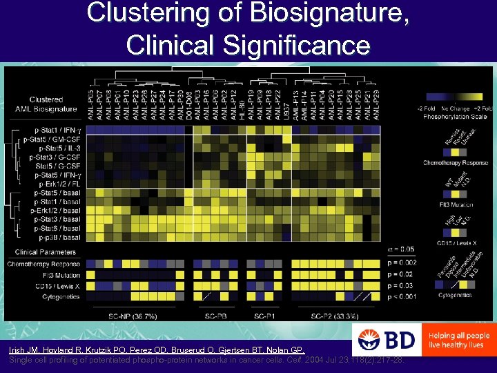 Clustering of Biosignature, Clinical Significance Irish JM, Hovland R, Krutzik PO, Perez OD, Bruserud