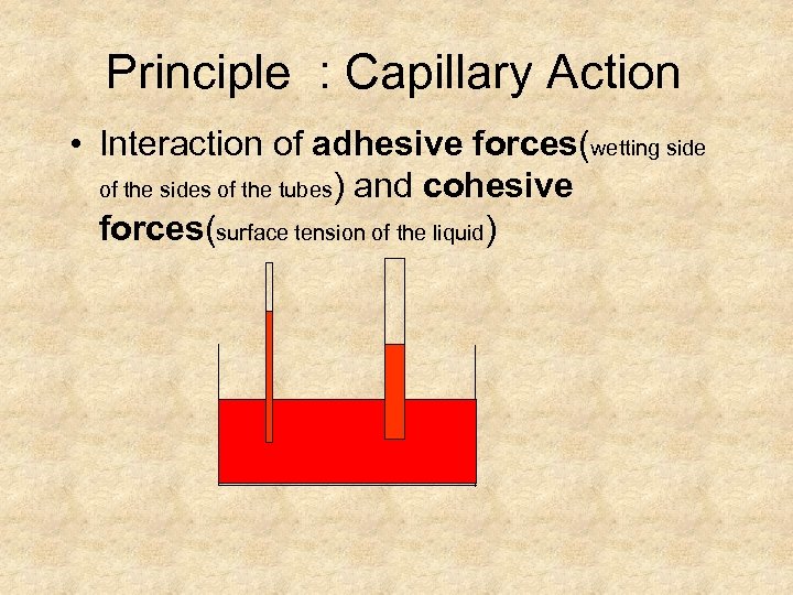 Principle : Capillary Action • Interaction of adhesive forces(wetting side of the sides of