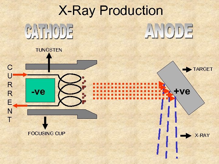 X-Ray Production TUNGSTEN C U R R E N T TARGET -ve FOCUSING CUP