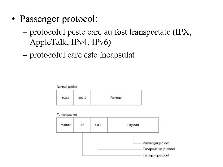  • Passenger protocol: – protocolul peste care au fost transportate (IPX, Apple. Talk,
