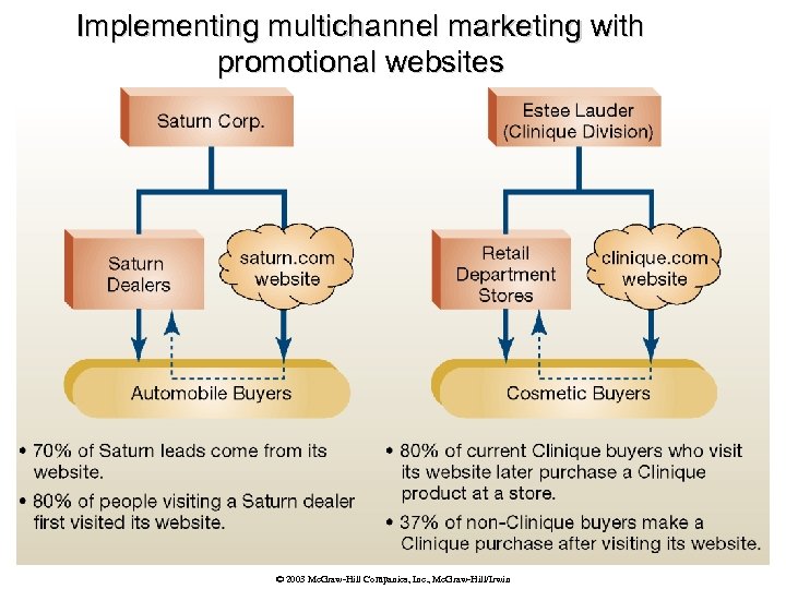 Implementing multichannel marketing with promotional websites © 2003 Mc. Graw-Hill Companies, Inc. , Mc.