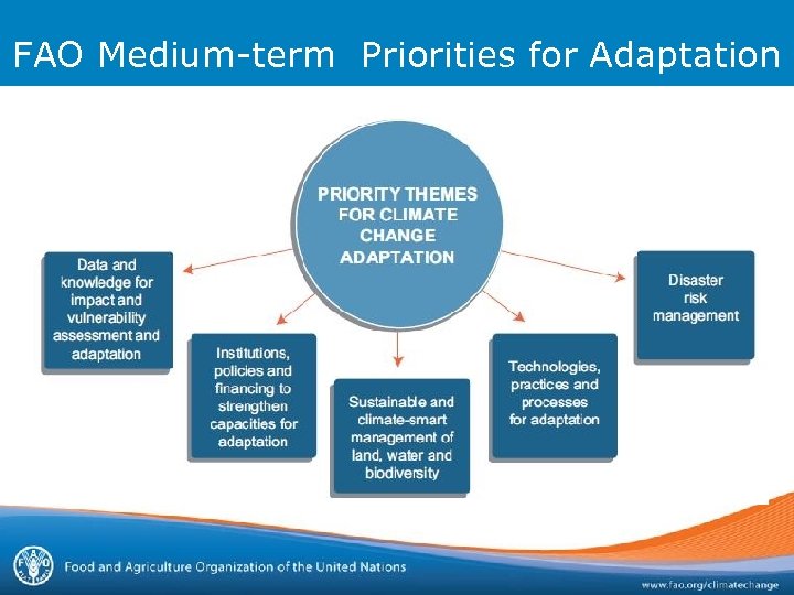 FAO Medium-term Priorities for Adaptation 