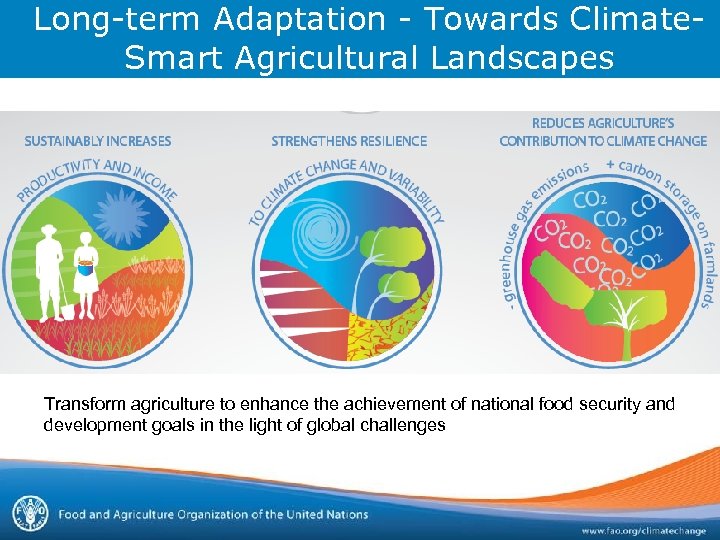 Long-term Adaptation - Towards Climate. Smart Agricultural Landscapes Transform agriculture to enhance the achievement