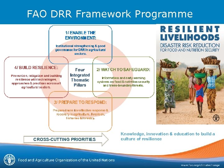 FAO DRR Framework Programme CROSS-CUTTING PRIORITIES Knowledge, innovation & education to build a culture