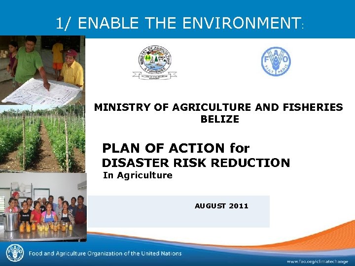 1/ ENABLE THE ENVIRONMENT: MINISTRY OF AGRICULTURE AND FISHERIES BELIZE PLAN OF ACTION for