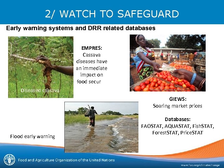 2/ WATCH TO SAFEGUARD Early warning systems and DRR related databases EMPRES: Cassava diseases