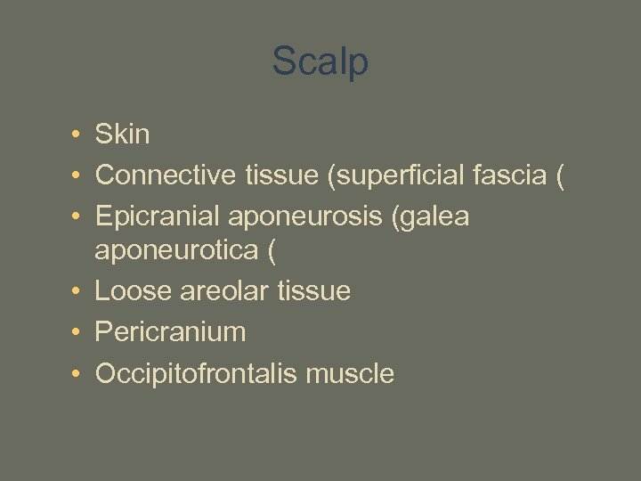 Scalp • Skin • Connective tissue (superficial fascia ( • Epicranial aponeurosis (galea aponeurotica