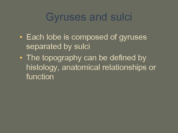 Gyruses and sulci • Each lobe is composed of gyruses separated by sulci •