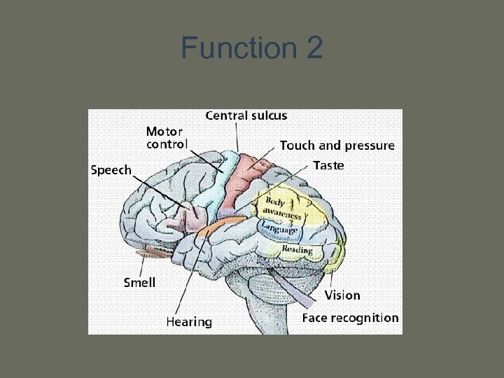 Function 2 