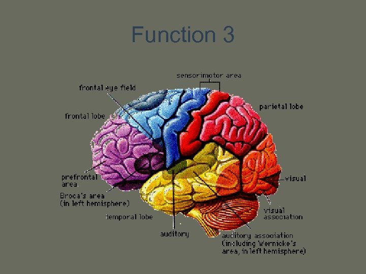 Function 3 