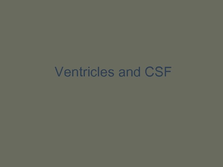 Ventricles and CSF 