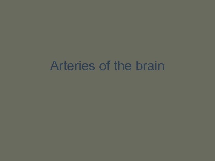 Arteries of the brain 