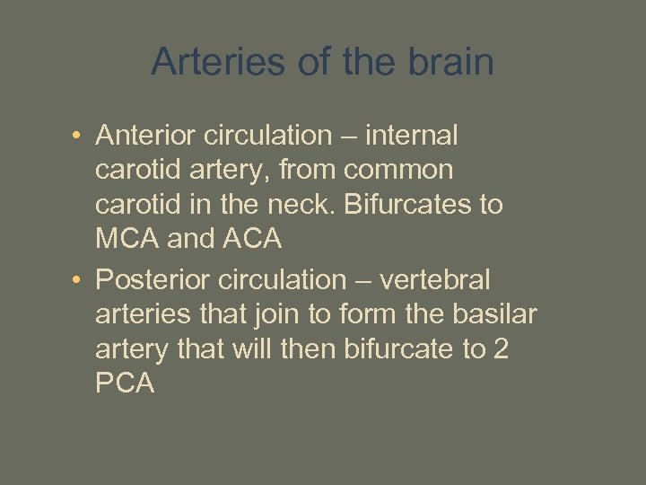 Arteries of the brain • Anterior circulation – internal carotid artery, from common carotid