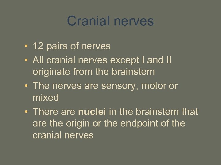 Cranial nerves • 12 pairs of nerves • All cranial nerves except I and