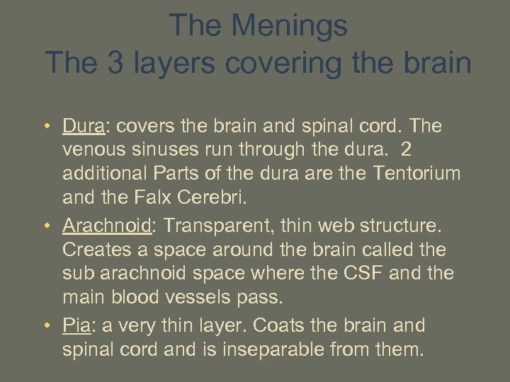 The Menings The 3 layers covering the brain • Dura: covers the brain and