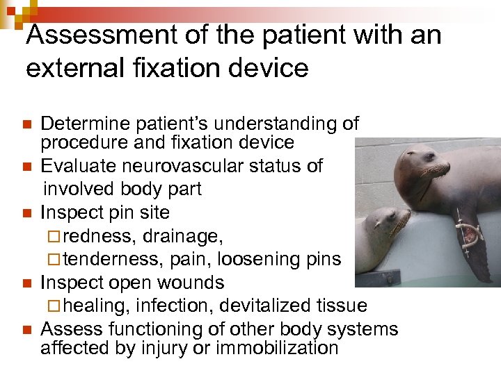 Assessment of the patient with an external fixation device n n n Determine patient’s