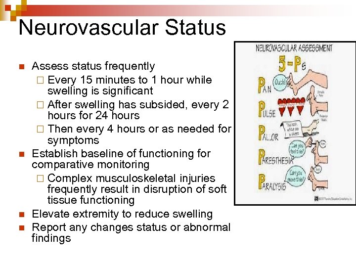 Neurovascular Status n n Assess status frequently ¨ Every 15 minutes to 1 hour
