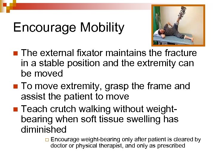 Encourage Mobility The external fixator maintains the fracture in a stable position and the