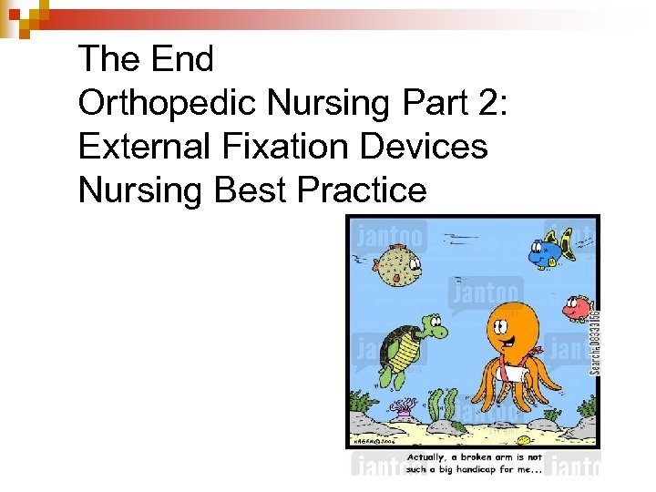 The End Orthopedic Nursing Part 2: External Fixation Devices Nursing Best Practice 