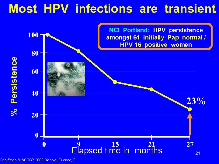 Most HPV infections are transient NCI Portland: HPV persistence amongst 61 initially Pap normal