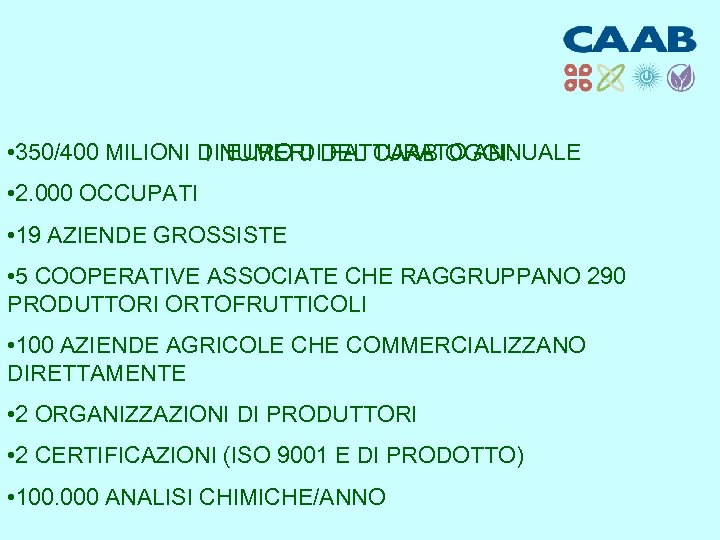  • 350/400 MILIONI DINUMERI DEL CAAB OGGI: I EURO DI FATTURATO ANNUALE •