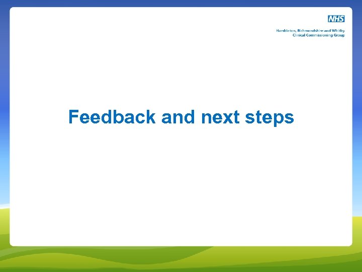 Feedback and next steps 