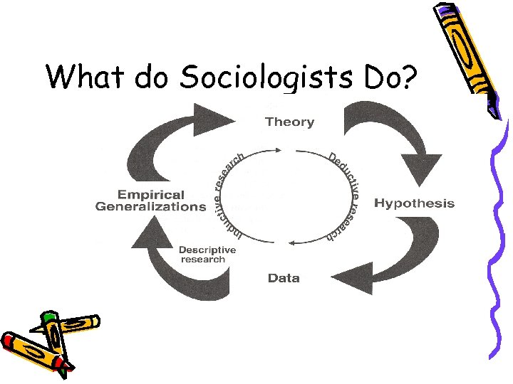 What do Sociologists Do? 