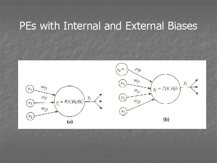 PEs with Internal and External Biases 