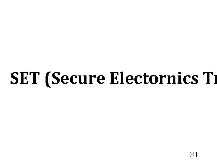 SET (Secure Electornics Tr 31 