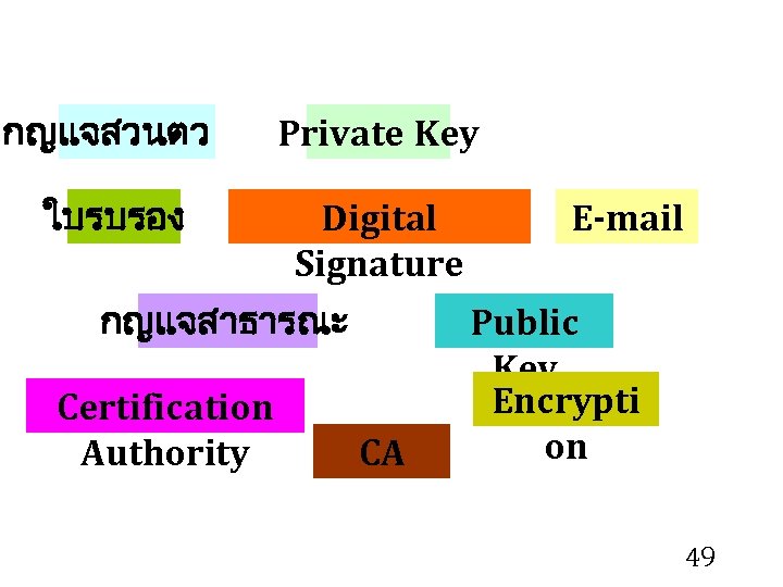 กญแจสวนตว Private Key ใบรบรอง Digital Signature กญแจสาธารณะ Certification Authority CA E-mail Public Key Encrypti