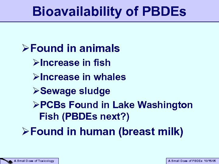 Bioavailability of PBDEs ØFound in animals ØIncrease in fish ØIncrease in whales ØSewage sludge