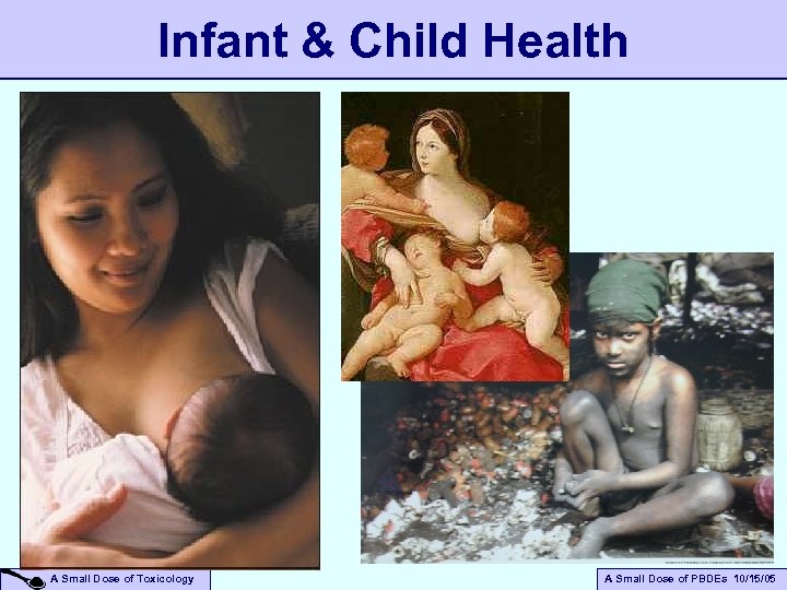 Infant & Child Health A Small Dose of Toxicology A Small Dose of PBDEs