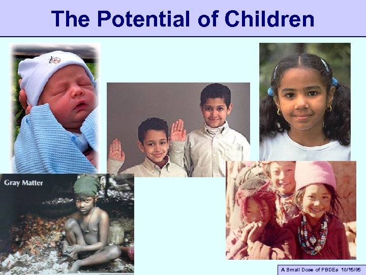 The Potential of Children A Small Dose of Toxicology A Small Dose of PBDEs