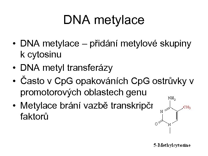 DNA metylace • DNA metylace – přidání metylové skupiny k cytosinu • DNA metyl