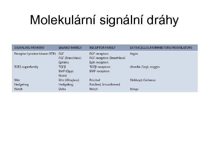 Molekulární signální dráhy 