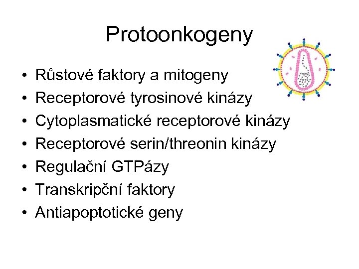 Protoonkogeny • • Růstové faktory a mitogeny Receptorové tyrosinové kinázy Cytoplasmatické receptorové kinázy Receptorové