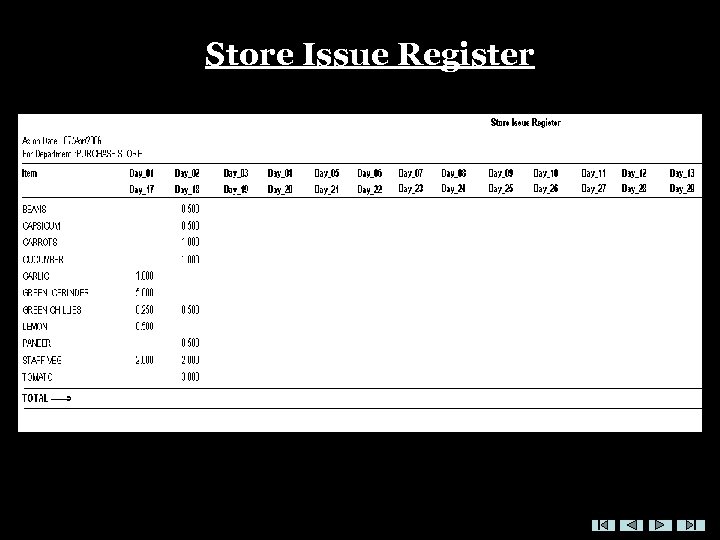 Store Issue Register 