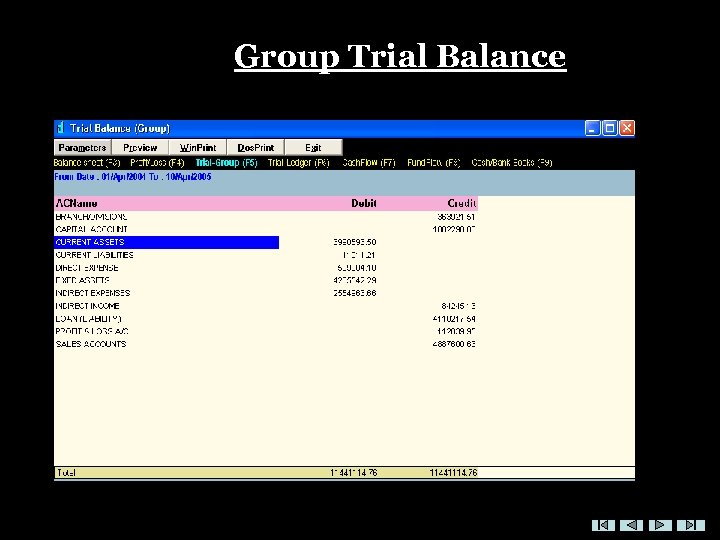 Group Trial Balance 
