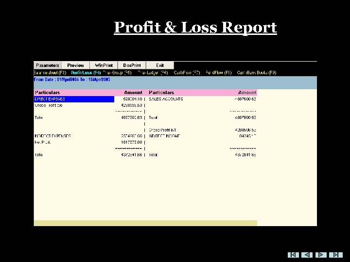 Profit & Loss Report 