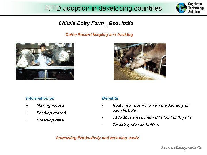 RFID adoption in developing countries Chitale Dairy Farm , Goa, India Cattle Record keeping