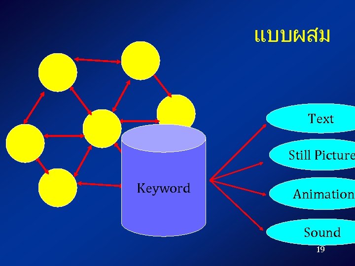 แบบผสม Text Still Picture Keyword Animation Sound 19 