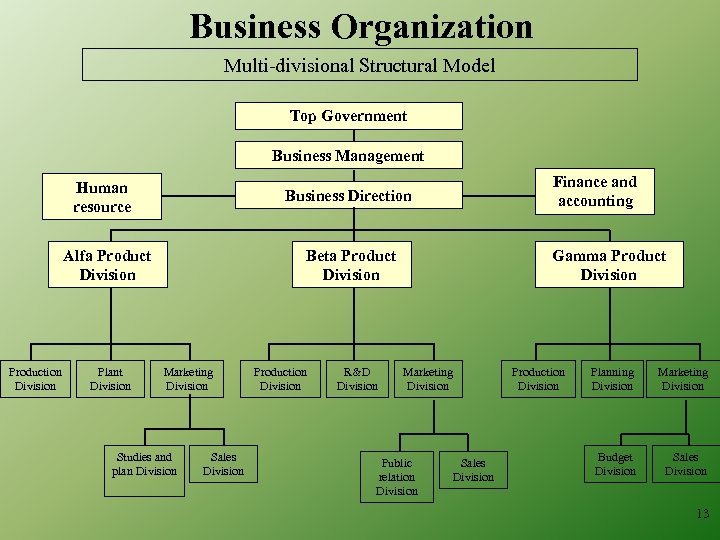 Business Organization Multi-divisional Structural Model Top Government Business Management Human resource Business Direction Alfa