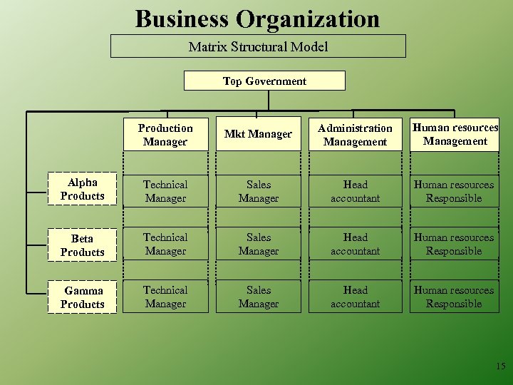 Business Organization Matrix Structural Model Top Government Production Manager Mkt Manager Administration Management Human