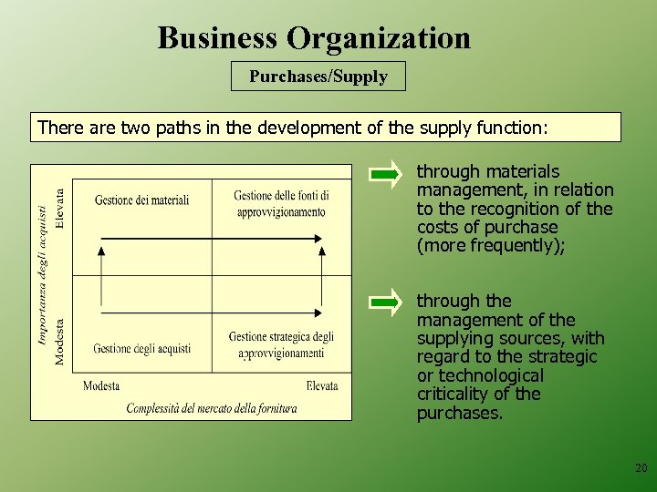 Business Organization Purchases/Supply There are two paths in the development of the supply function: