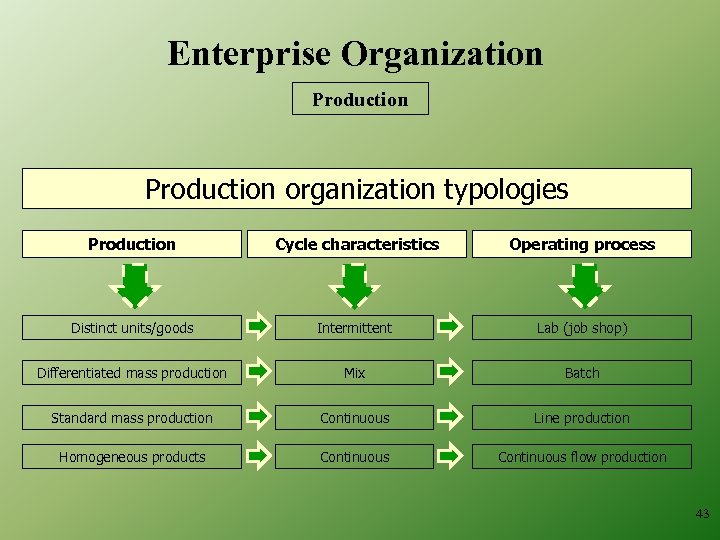 Enterprise Organization Production organization typologies Production Cycle characteristics Operating process Distinct units/goods Intermittent Lab