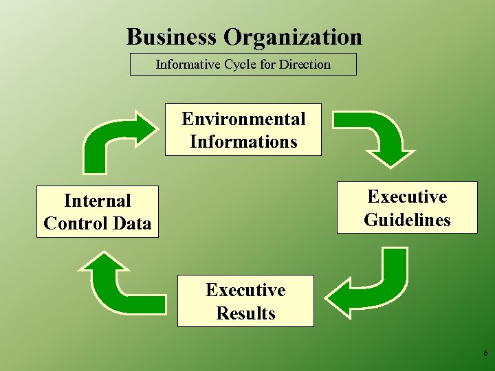 Business Organization Informative Cycle for Direction Environmental Informations Executive Guidelines Internal Control Data Executive